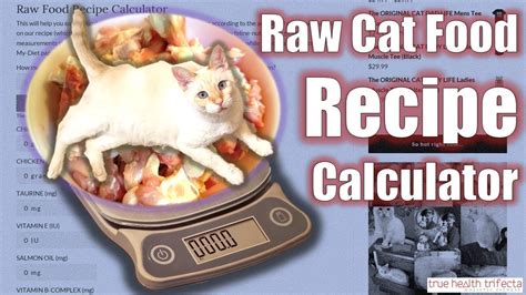 I didn't know where to start. How to make Raw Cat Food using the Recipe Calculator ...