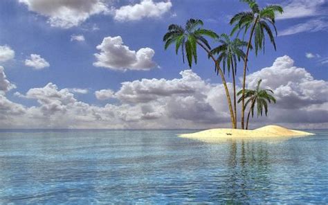 Would You Survive On A Deserted Island Quiz Quotev