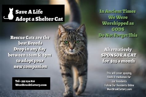 Copy Of Save A Life Adopt A Shelter Cat Postermywall