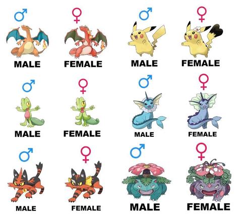 These Horrible And Unnecessary Fan Made Pokémon Gender Differences