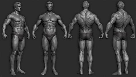 Muscle Study Gaurav Kumar Body Anatomy Muscle Man Anatomy