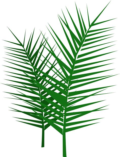 Palm Branches Clip Art