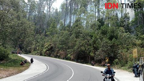 Karhutla Gunung Lawu Merembet Ke Jalan Jatim Jateng