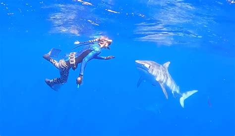Ocean Ramsey Examines Coloration And How Avoiding It Will Help You