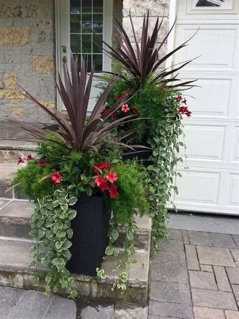 10 Large Potted Plants For Outdoors