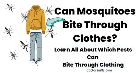 Aggregat Mehr Als 78 Can Mosquitoes Bite Through Jeans Am Besten