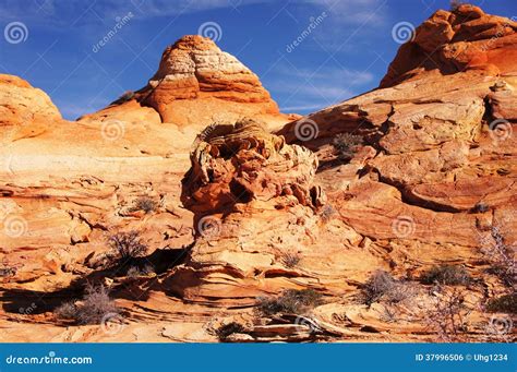 Paria Canyon Vermilion Cliffs Wilderness Arizona Usa Stock Photo