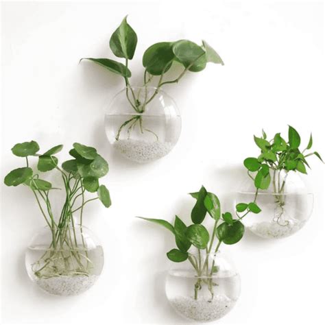 Wall Mounted Terrariums And Planters To Bring Nature Indoors