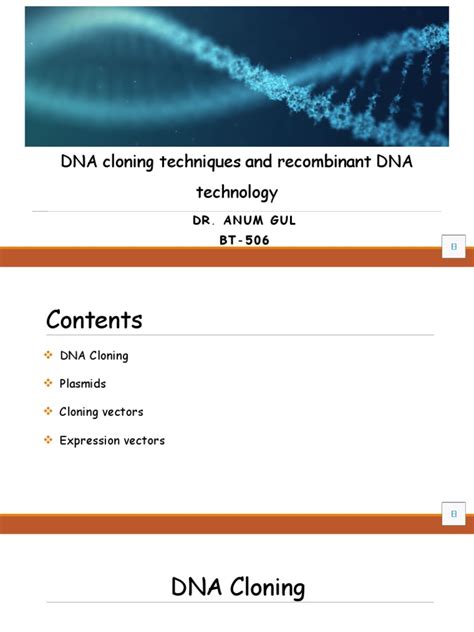 Dna Cloning Techniques And Recombinant Dna Technology Pdf Plasmid
