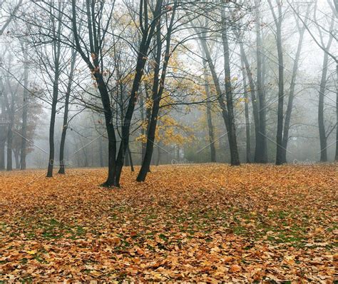 Late Autumn In The Park By Rsooll On Creativemarket Late Autumn Fall