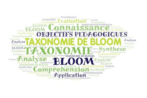 Quest Ce Que La Taxonomie De Bloom
