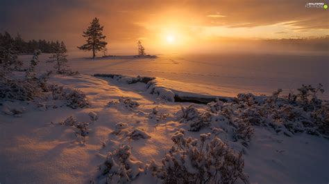 Viewes Winter Snowy Ringerike Lake Great Sunsets Snow Norway