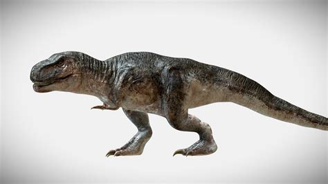 Tyrannosaurus Rex Rigged Animated 3d Model By A01024704775 49b6f42