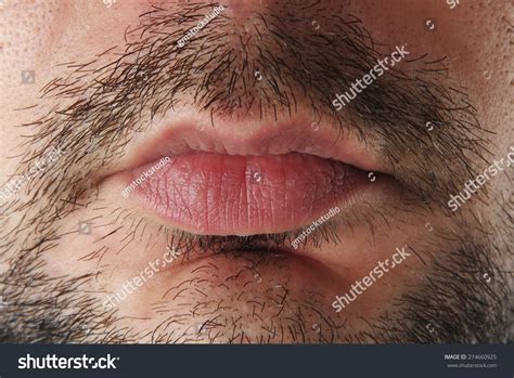 Male Bearded Mouth Closeup Stock Photo 274660925 Shutterstock