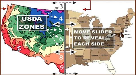 Find Your Usda Hardiness Zone W Zip Code Organical Botanicals