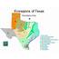 Ecoregions Of Texas Notes