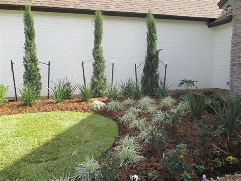 67 Landscaping Ideas With Italian Cypress Home Garden