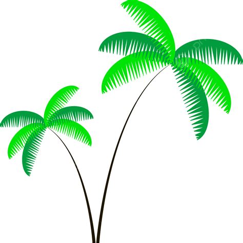Coconut Tree Vector Art Png Simple Two Coconut Trees Coconut Palm