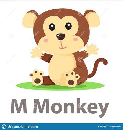 Ape Monkey Animal Progress Biology Human Evolution Stage