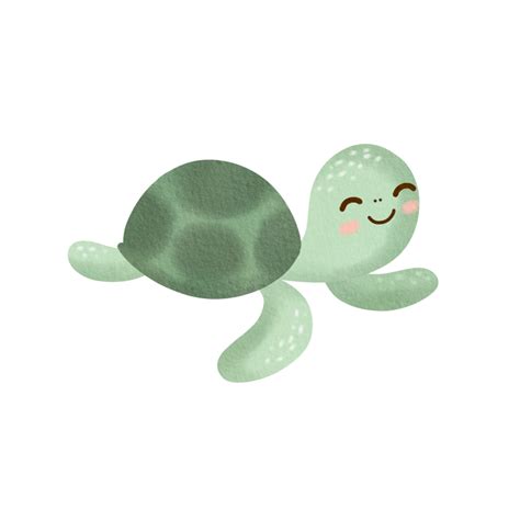 Free Cute Turtle Watercolor 19551363 Png With Transparent Background