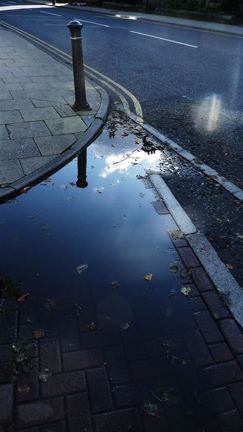 Rain Puddle On Sidewalk