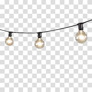 Light bulb vector hanging decorative light bulb symbol luxury style realistic transparent illustration. Library of hanging lights banner black and white library ...