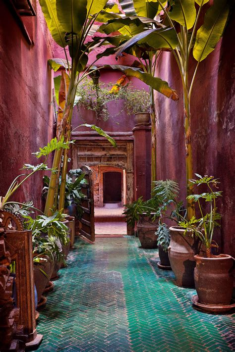 Required Reading Gardens Of Marrakesh Gardenista Moroccan Garden