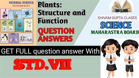 Lesson2 Plantsstructure And Function 7th Std Question And Answers