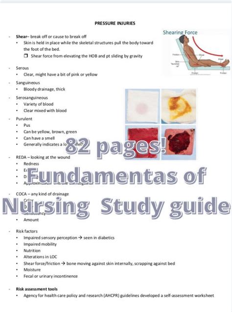 Fundamentals Of Nursing Study Guide And Notes 82 Pgs Digital Etsy