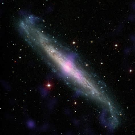 Black Holes Hide In Our Cosmic Backyard