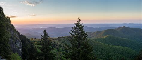 Go Wild 4 North Carolina National Forests To Explore