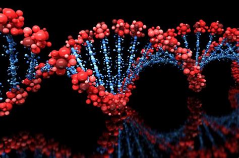 Dna or deoxyribonucleic acid is a long molecule that contains our unique genetic code. Genes: Function, makeup, Human Genome Project, and research