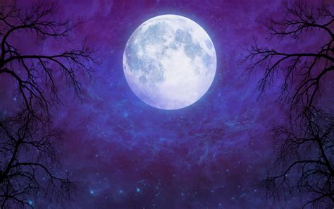 Artistic Full Moon In Starry Night Sky Full Hd Wallpaper