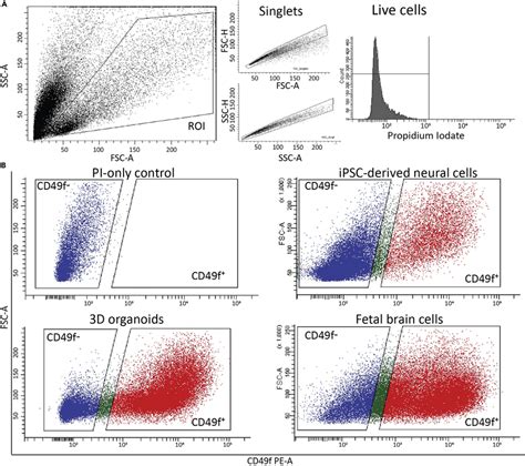 Cd49f Facs Purification A Gating Strategy For Selecting Live Cells