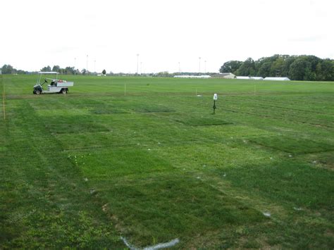 Low Input Turf Purdue University Dr Patton Lab