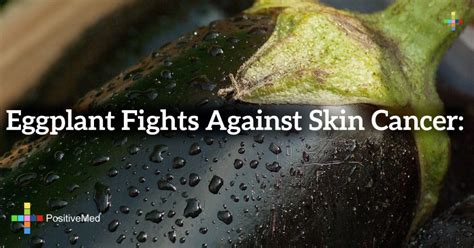 Eggplant Fights Against Skin Cancer Positivemed
