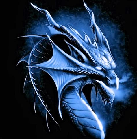 Dragon - Dragons Photo (29964674) - Fanpop