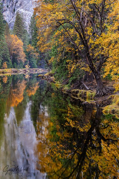 Autumn Reflection Cathedral Rocks Yosemite Eloquent Images By Gary Hart