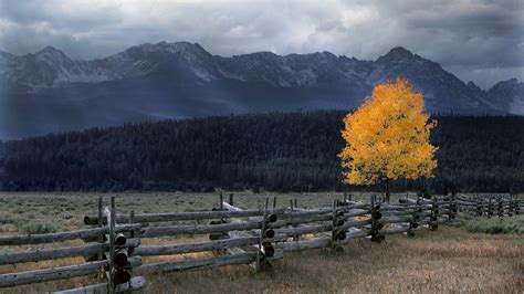 Autumn Season Valley Idaho 1920x1080 Wallpaper High