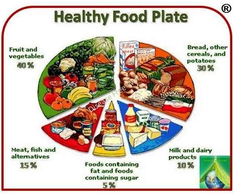 Complete Guide To Weight Reduction Part Of Healthy Food Plate