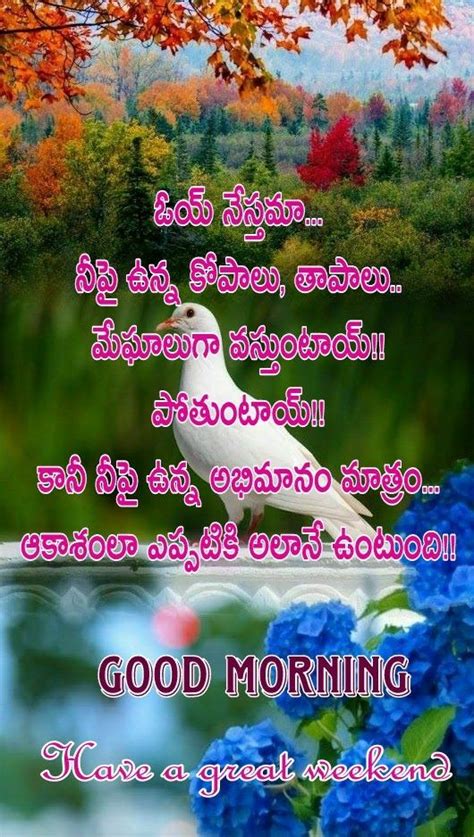 310 Good Morning Telugu Images With Quotes 2020 Wishes Sms Status Messages Greetings