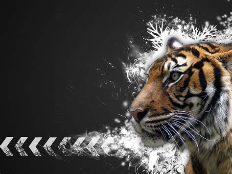 Feel free to send us your tiger backgrounds, we will select the best ones and publish them on this page. Tiger Desktop Wallpapers - Wallpaper Cave