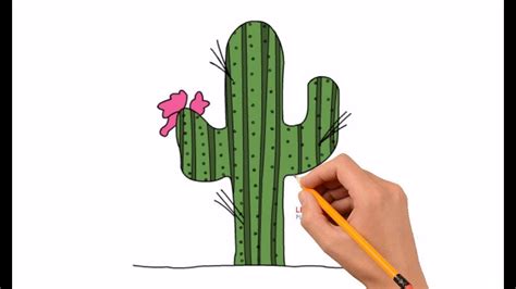 Cactus Drawing Easy At Explore Collection Of