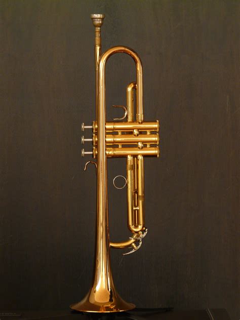 les principaux instruments de musique classique cuivres picadilist