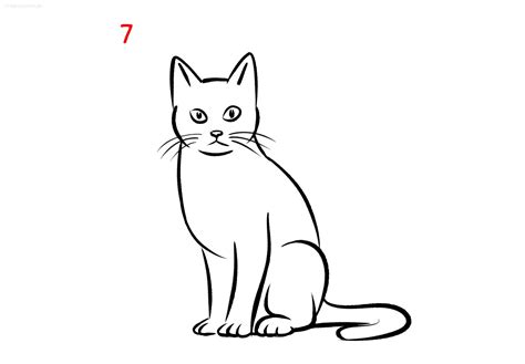 Katze Malen Schritt Für Schritt Anleitung Mit Vorlage Katze Zeichnen