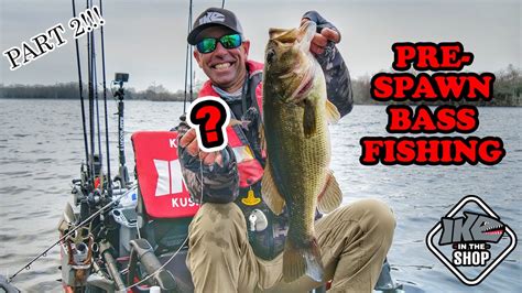 Mastering The Pre Spawn Tips And Tricks For Catching Big Bass