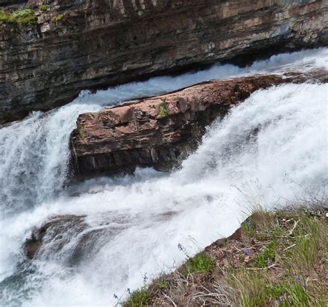 Cameron Falls Waterton Lakes National Park All You Need To Know
