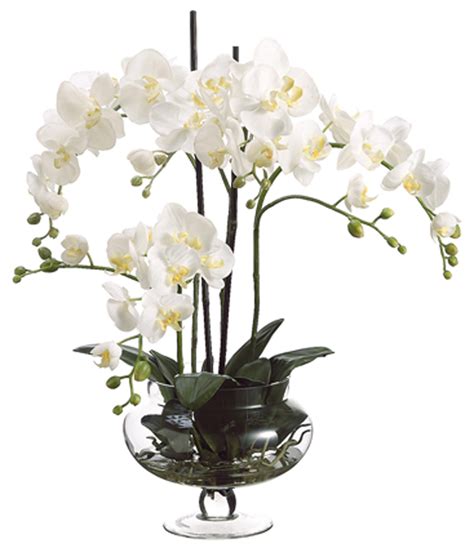 Cream Orchids In Clear Glass Vase 25 High Faux Flowers N6668 Lamps Plus Orchid