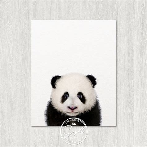 Baby Panda Bear Print Nursery Wall Art Baby Animals Cute