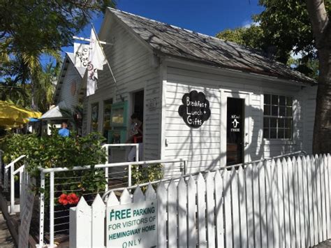Cats normally have five front toes and four back toes. Six-Toed Cat, Key West - Restaurant Reviews, Photos ...